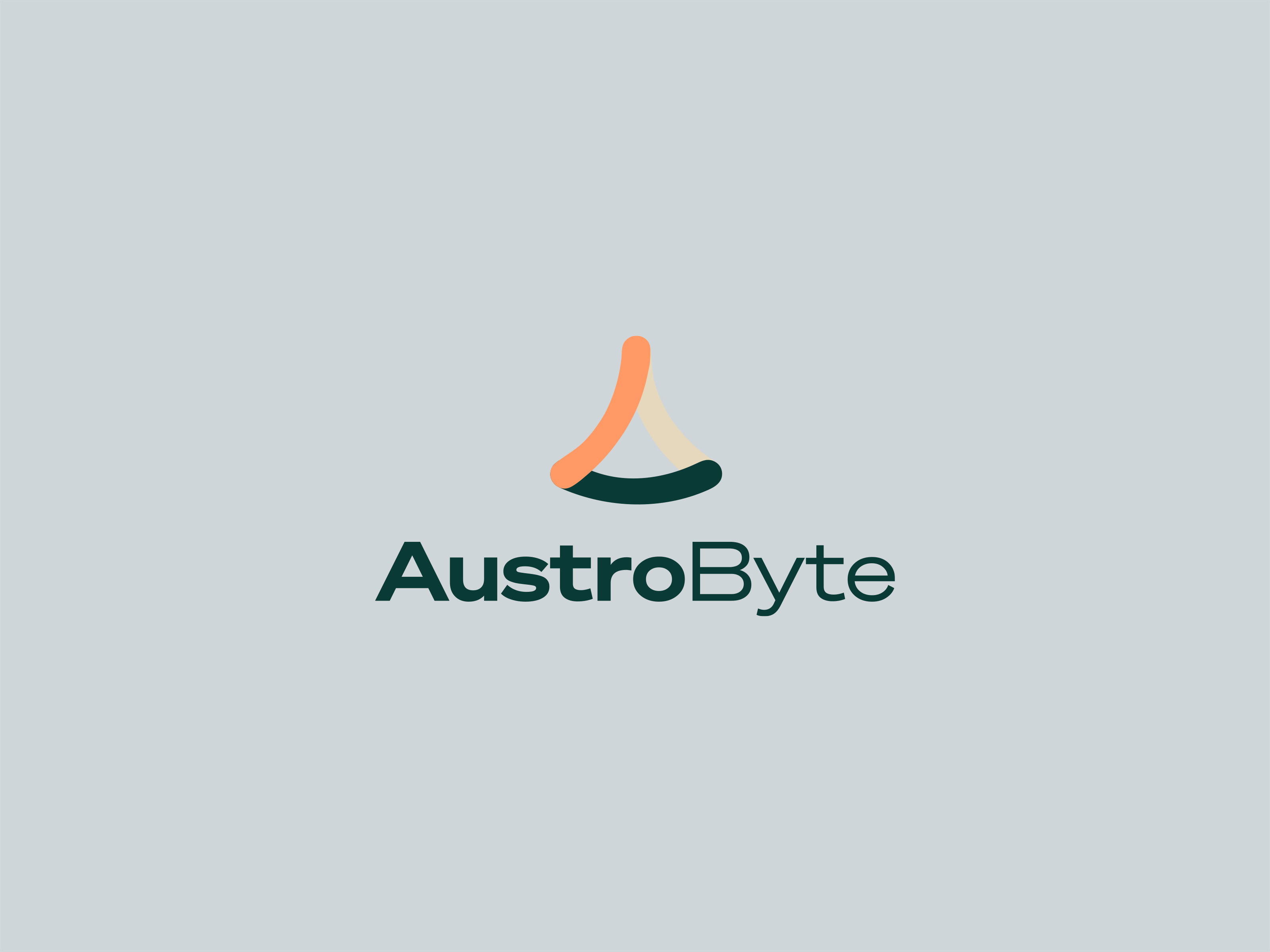 سی ار ام، crm، راهکاری نرم افزاری، استروبایت